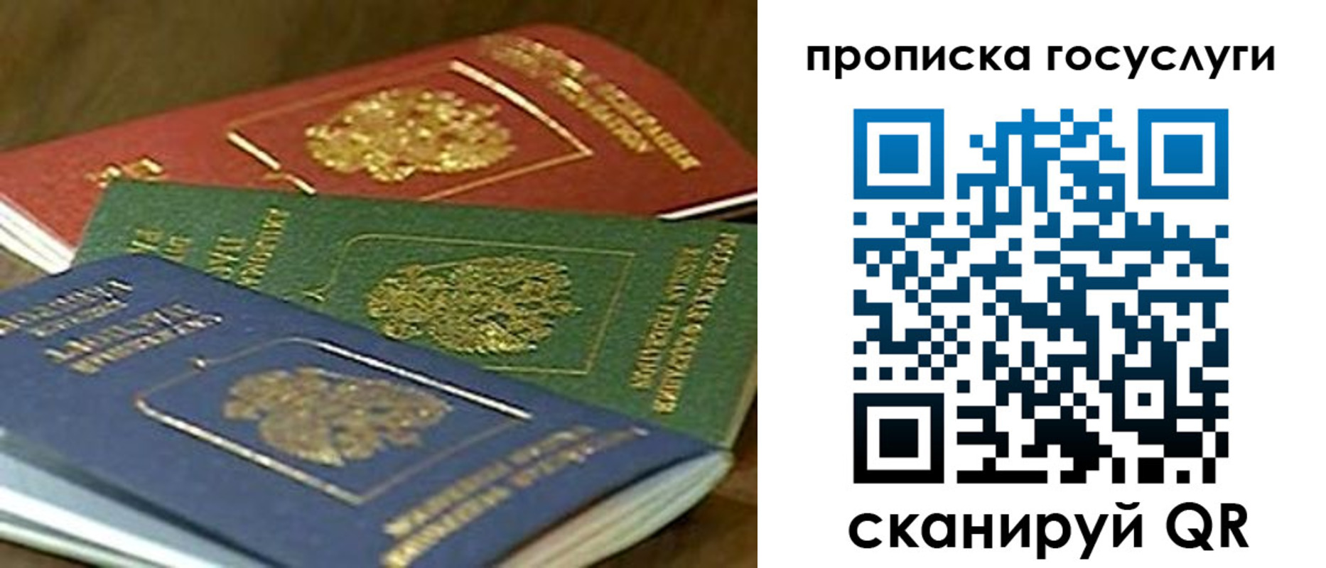 прописка гарантия в Котовске